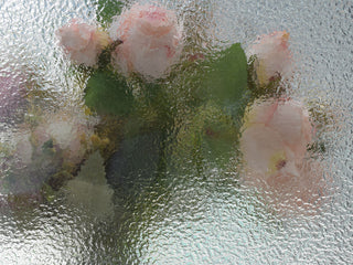 Pebbled frosted glass detail on FRAMEWELL fiberglass door, demonstrating privacy and light diffusion with blurred roses.